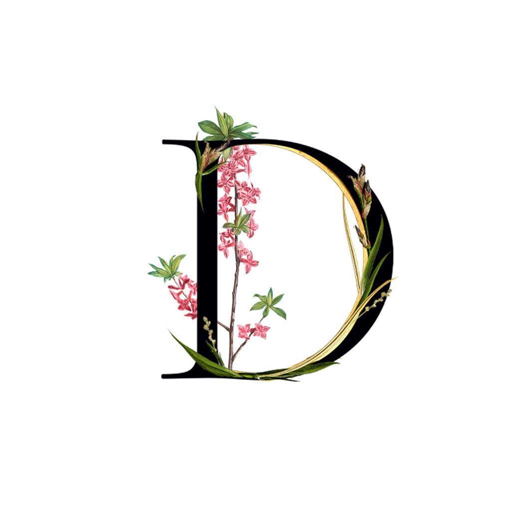 Daphne Accord