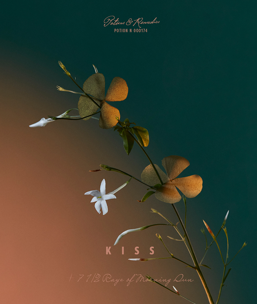 Potions &amp; remedies poster