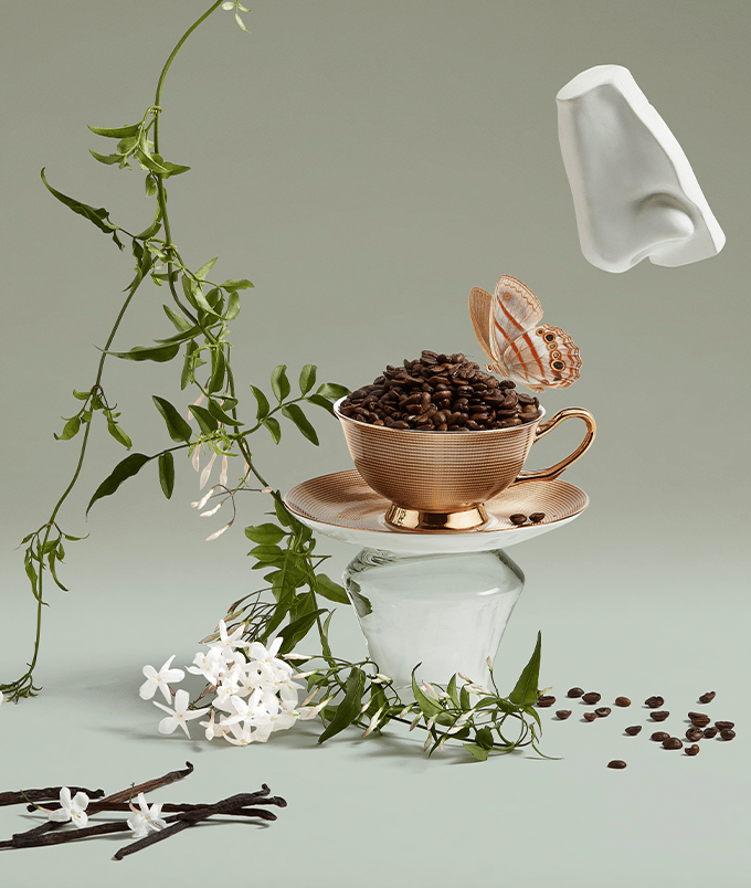 coffee, jasmine and vanilla