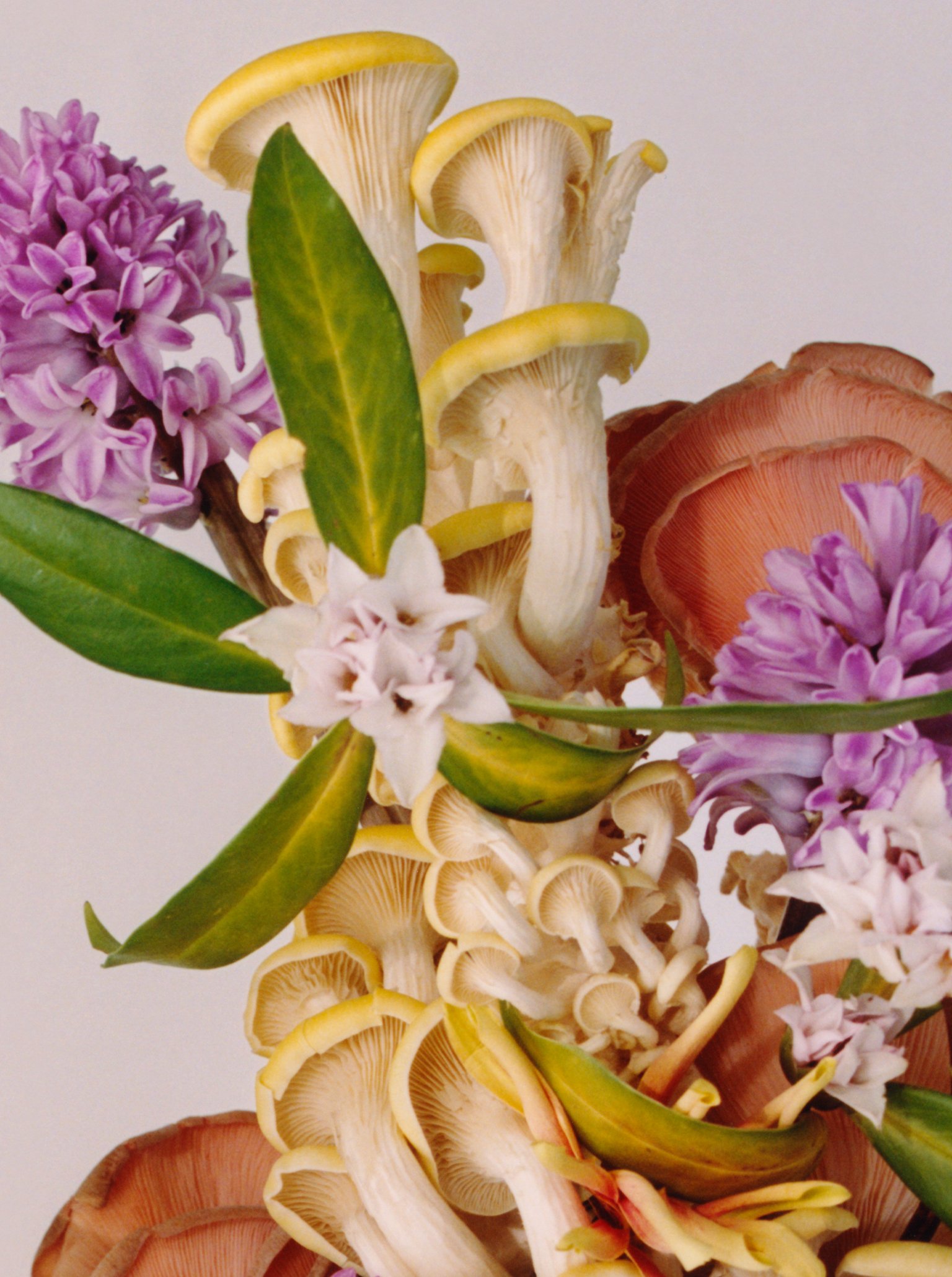 Daphne_Bouquet_Q&amp;A_Antoine_Maisondieu_Blog_Article_1536x2060px_03.jpg