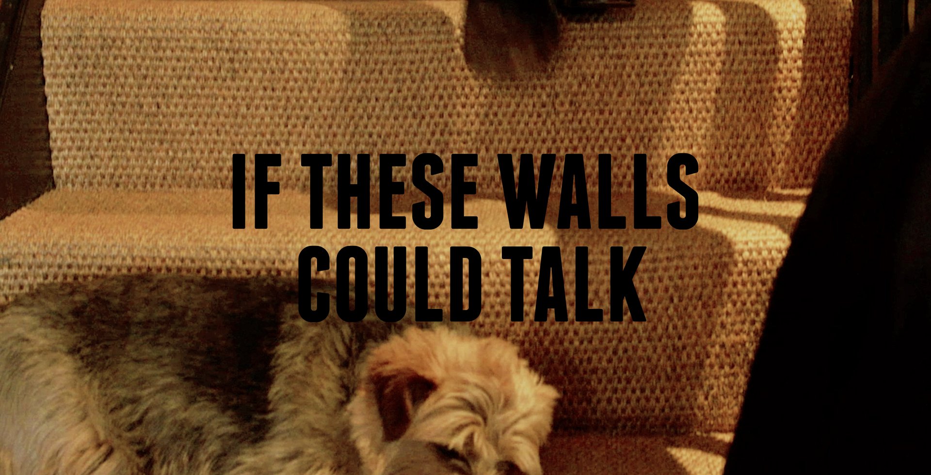IF THESE WALLS COULD TALK