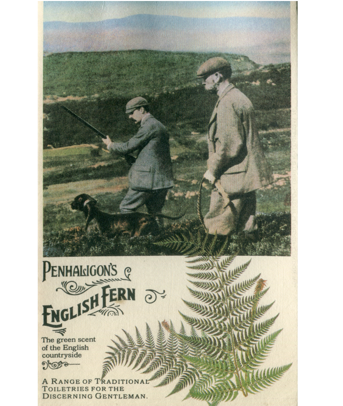 English fern ad