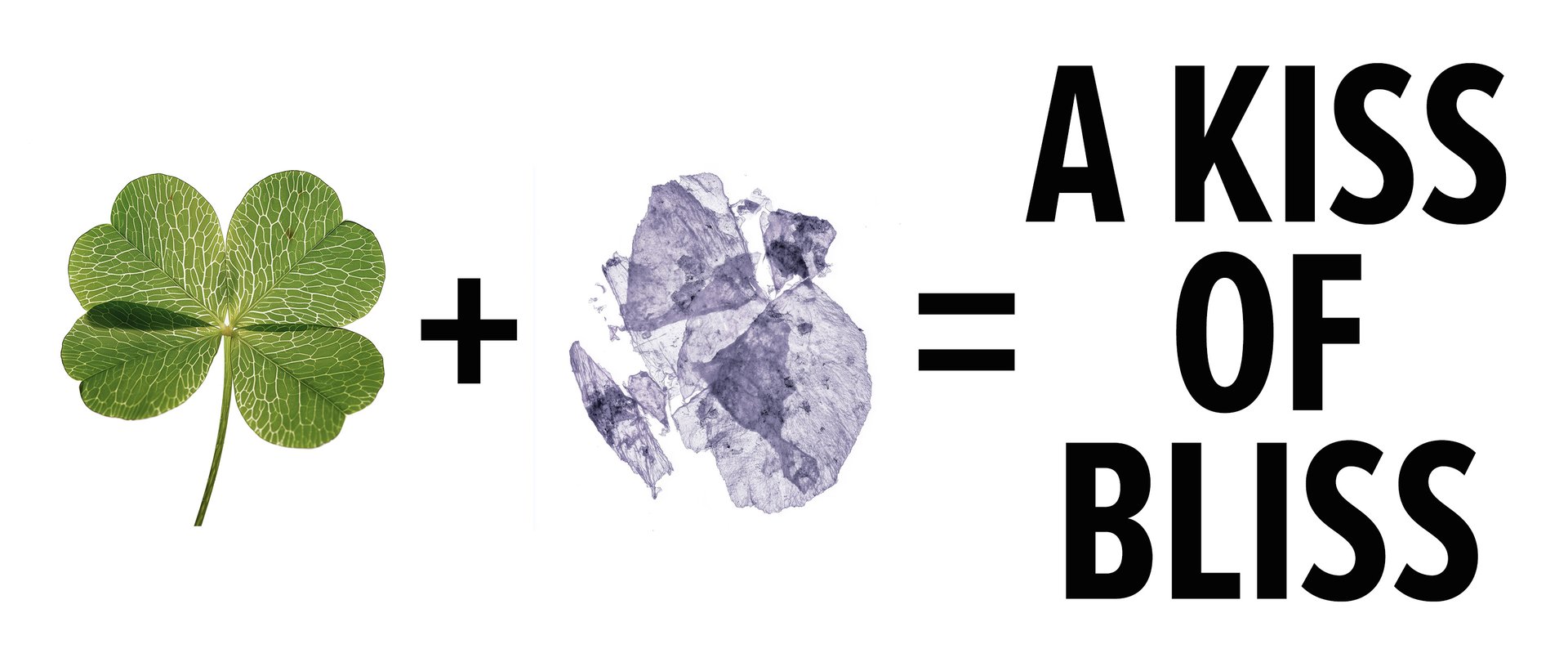 clover and musk = a kiss of bliss