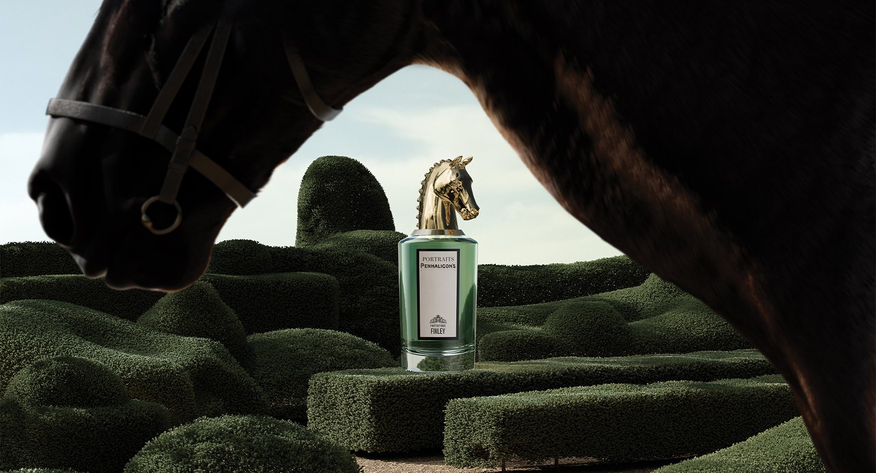 Pen_2025_Fortuitous-Finley_D2C_Equestrain_Blog_Desktop_1760x950px_02.jpg