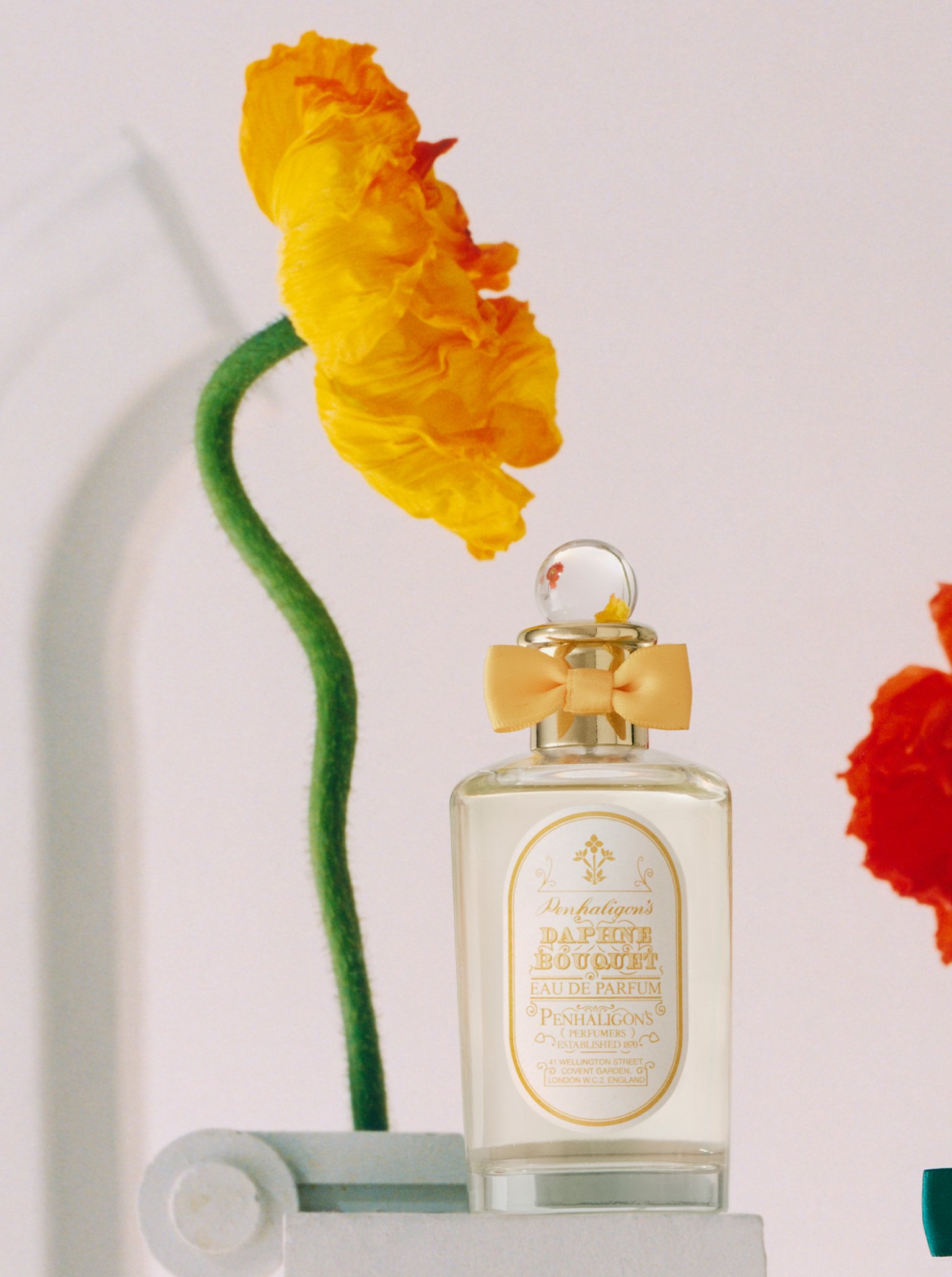Walking Through the Woodland - with Antoine Maisondieu | Penhaligon's