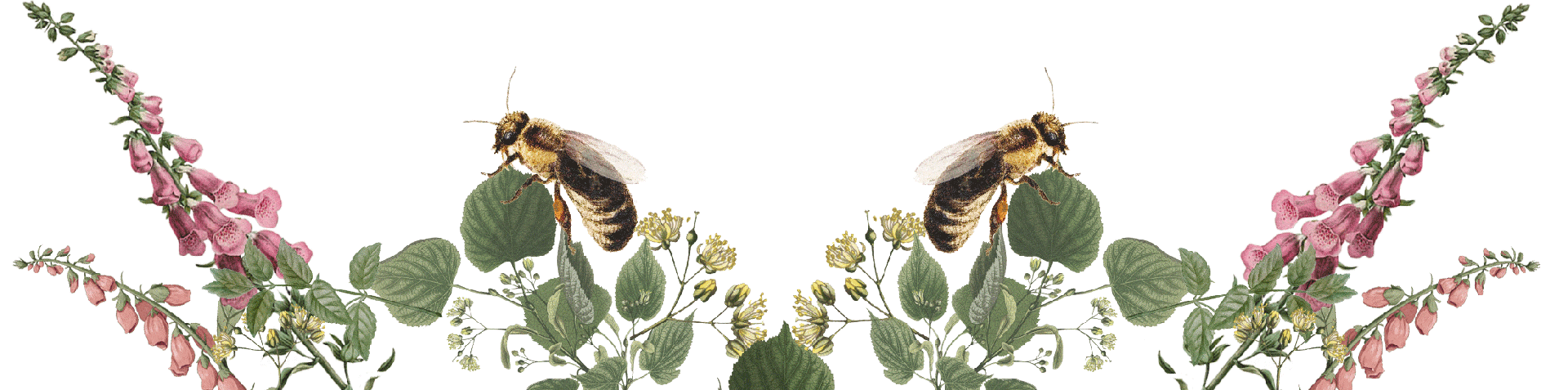 bees and flower gif