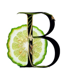 Bergamot Media
