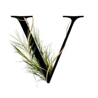 Vetiver Media