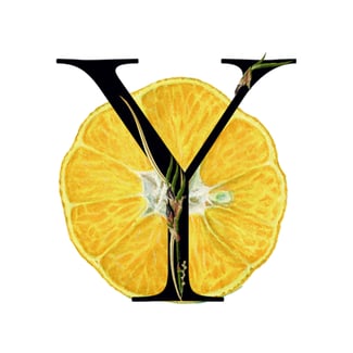 Yuzu Fruit Media