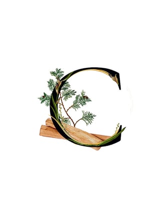 Cedarwood key ingredient