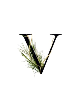 Vetiver key ingredient