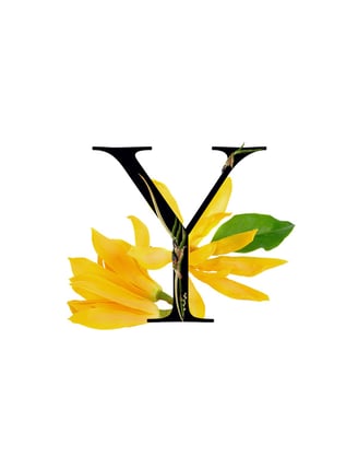 Ylang ylang