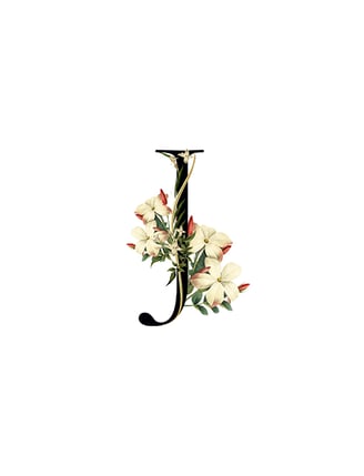 Jasmine key ingredient