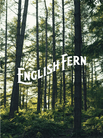 English fern trees