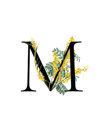 Mimosa Key Ingredient