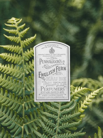 english fern label