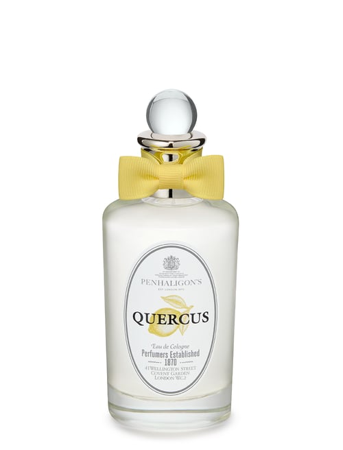 PEN QUERCUS EDC KC 100ML