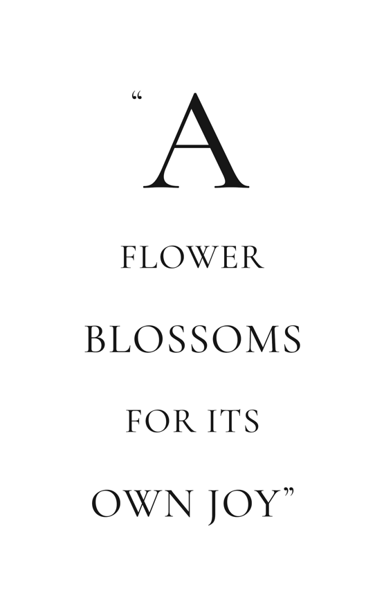 "A flower blossoms for its own joy.” quote