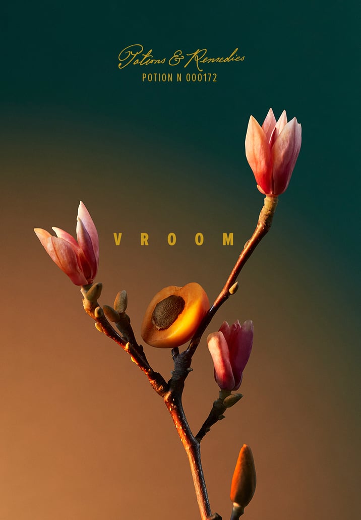 vra vra vroom poster