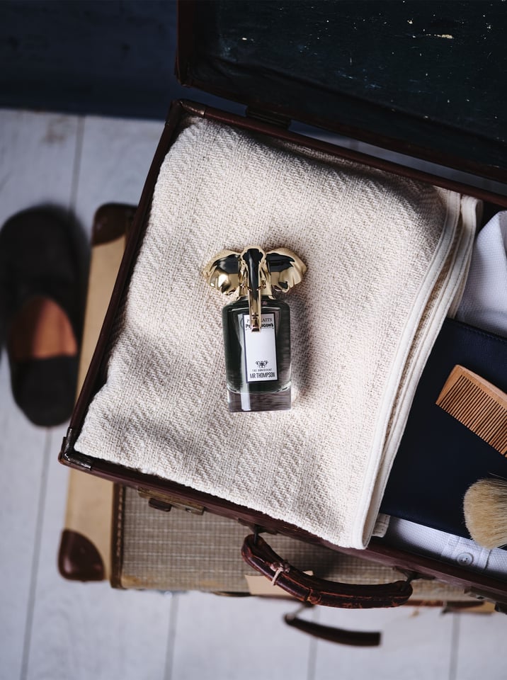 Mr Thompson in suitcase