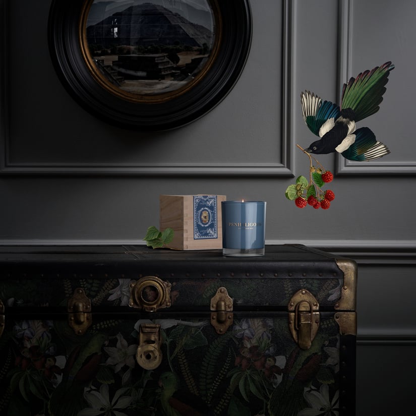 PEN CLASSIC CANDLE ROANOKE IVY 65G