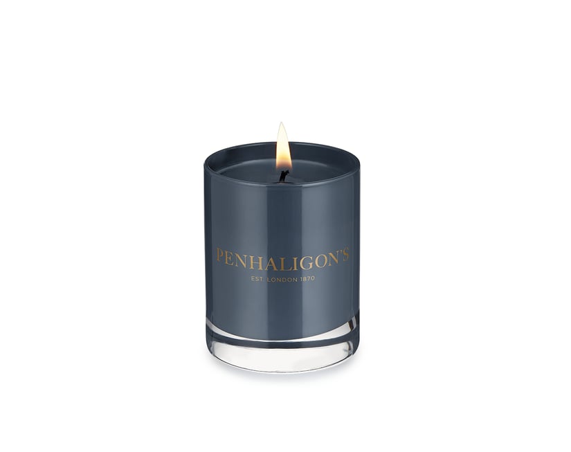 PEN CLASSIC CANDLE ROANOKE IVY 65G