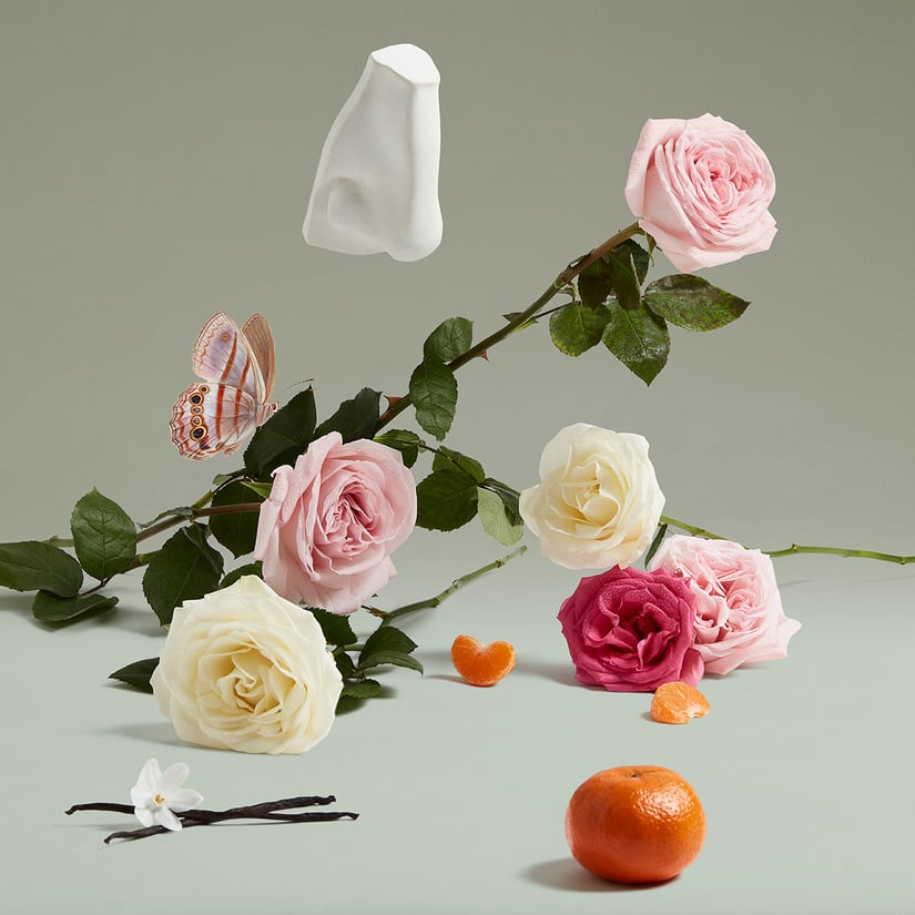 THE COVETED DUCHESS ROSE 75 ml | Penhaligon's