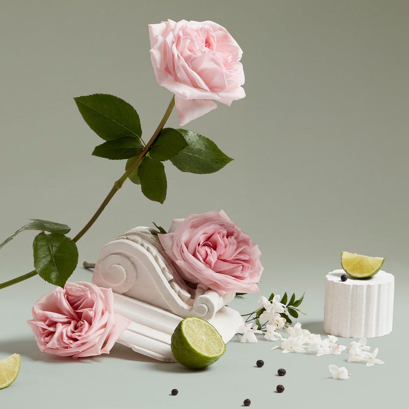 LE LUNA LITTLE LUXURY POUCH