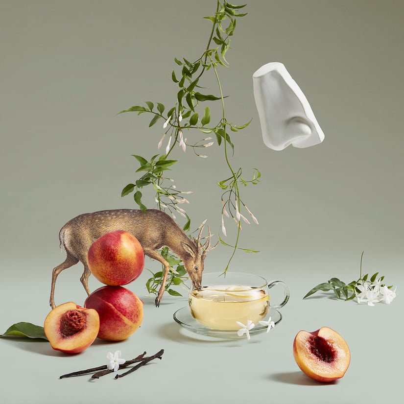 ARTEMISIA 100 ml | Penhaligon's