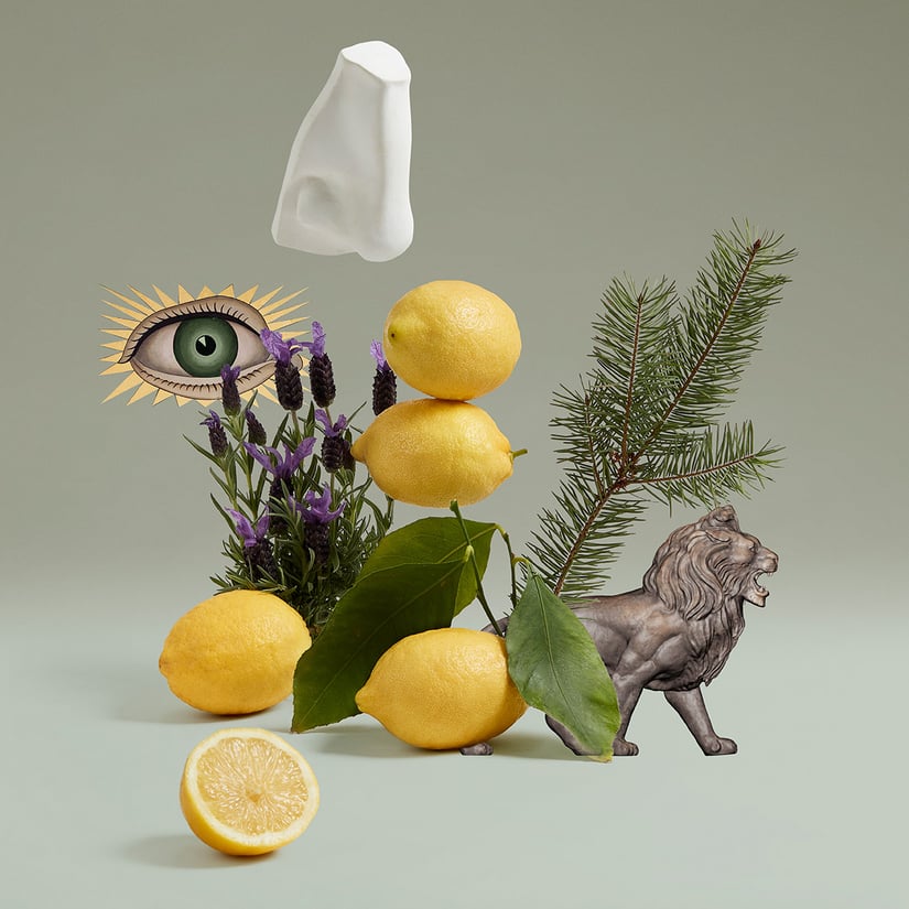 BLENHEIM BOUQUET EDT 30ML VA