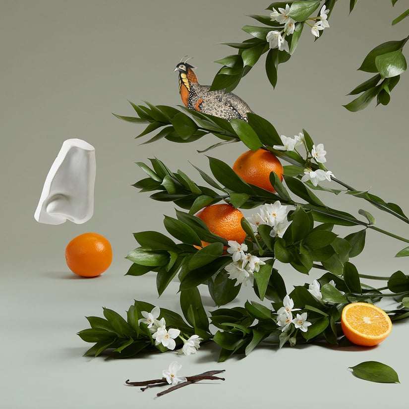 ORANGE BLOSSOM EDT 100ML CORE RPCK VA