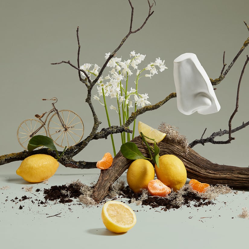 QUERCUS  BODY WASH 500ML