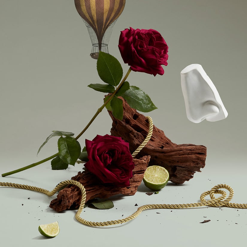 PEN HALFETI HAND CREAM 75ML