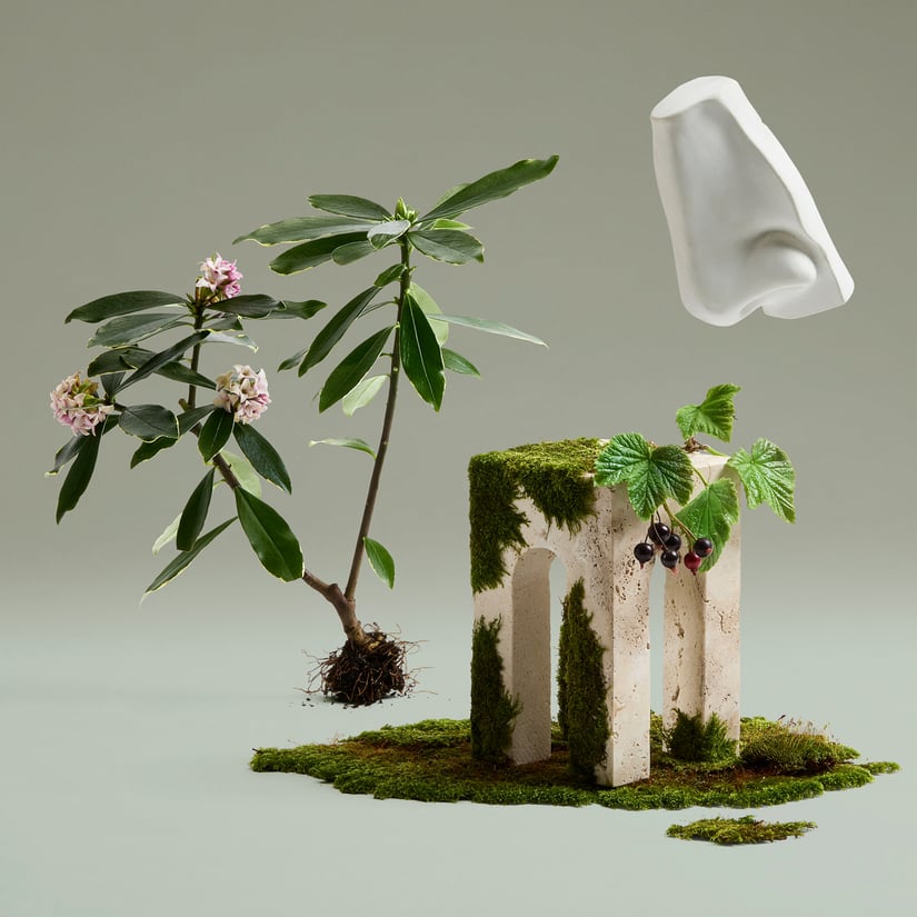 DAPHNE BOUQUET 100 ml | Penhaligon's