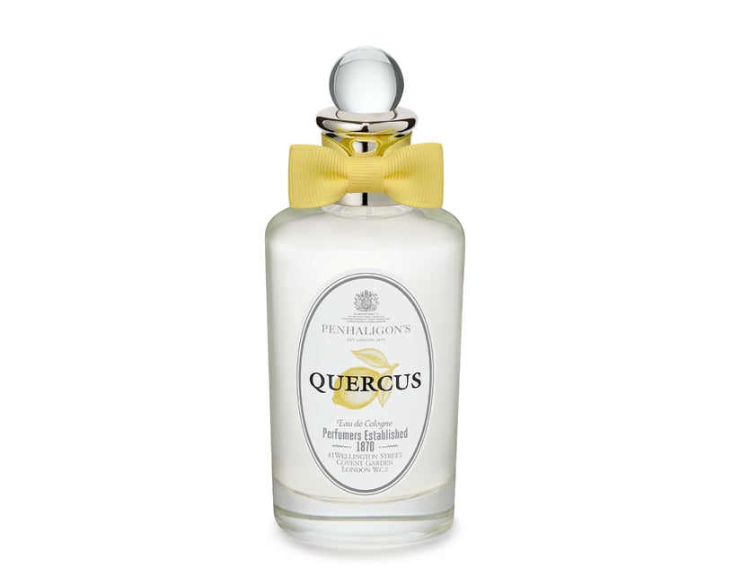 PEN QUERCUS EDC KC 100ML