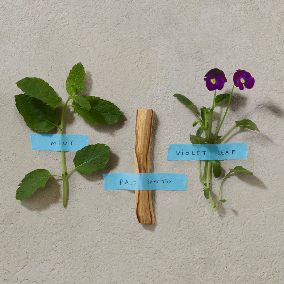 Mint, Palo Santo, Violet Leaf