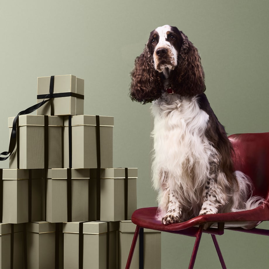 Penhaligon's gift boxes
