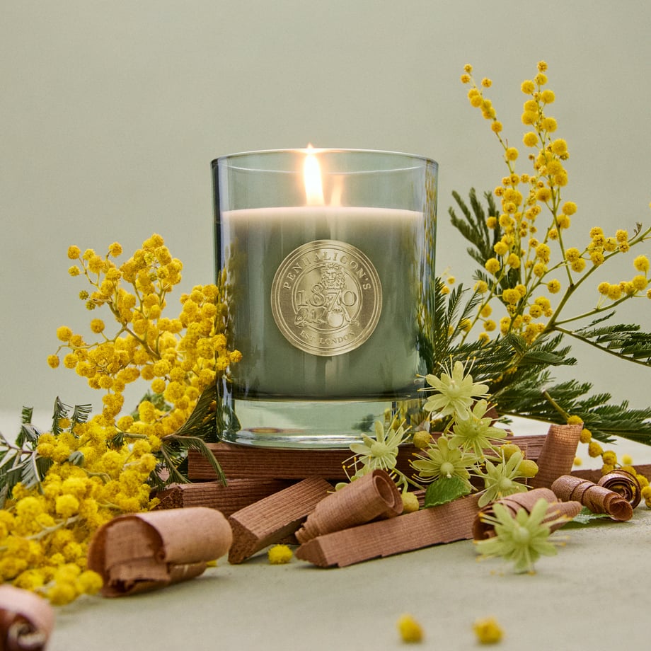 2026_Evergreen_PenxHighgrove_Content_Block_Desktop_1982x1982px_Candle.jpg